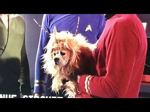 Harry Mean, Crybaby Nice alien Dog