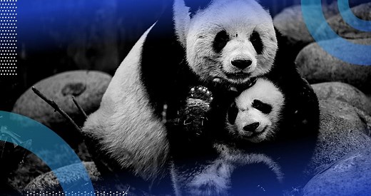 Pandas Groupby: 5 Methods to Know in Python | Built In