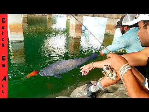 GIANT FISH Takes our COLORFUL FISH on the LINE while Fishing in CRYSTAL CLEAR WATER!