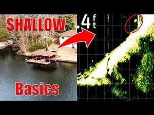 Catch More Bass With Livescope: Shallow Water Basics For Bass
