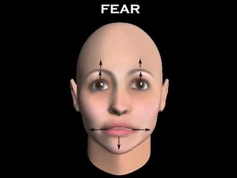 Facial Expression Tutorial by Khappucino