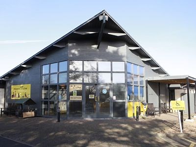 Dog Rescue, Rehoming & Adoption Shoreham (Sussex) | Dogs Trust