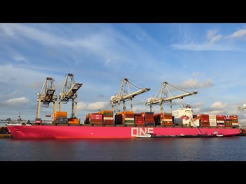 Container Ship One Altair - Unloading containers in Rotterdam #230