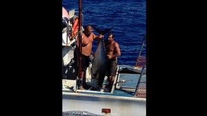 Massive tuna capsizes fisherman's boat