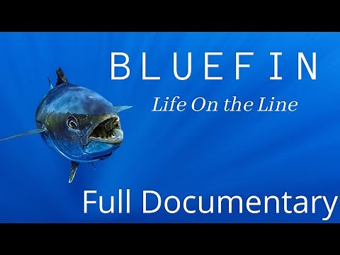 Life On The Line - The amazing true story of the Southern Bluefin Tuna