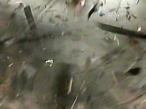 Destroyed in Seconds- House Explosion