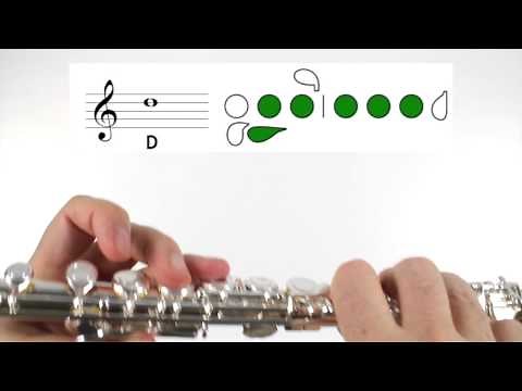 Beginner Flute Lesson 5 - First Note! D