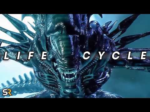Alien: Every Xenomorph Stage Explained