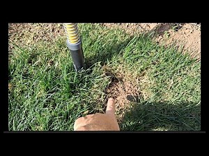 Why is my Gopherhawk trap full of dirt?