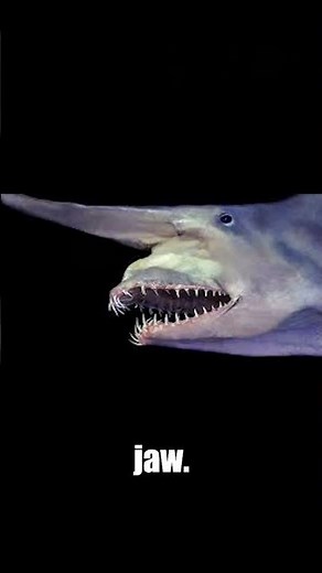 The Alien Shark That Shoots Its Jaw! 🦈💀 | Goblin Shark