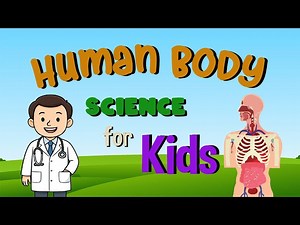 Human Body | Science for Kids - Videos For Kids