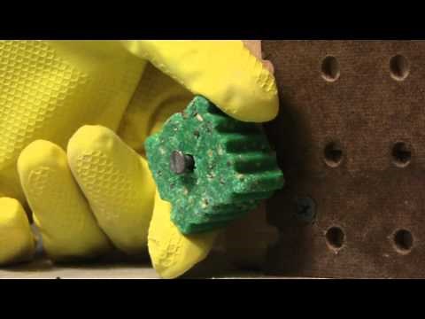 Rodent Control: Mouse and Rat Poison