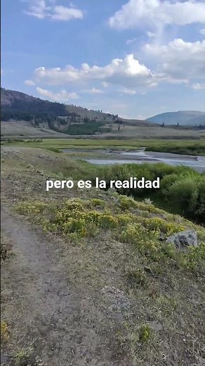 Yellowstone National Park, en Lamar Valley, el lugar mas bonito del parque. #yellowstonenps #viajar
