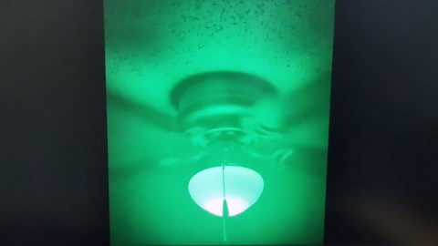 DAYBETTER Smart Light Bulbs, RGBCW WiFi Color Changing Led Bulb, Smart Bulb That Works with Alexa & Google Assistant, A19 E26 9W 800LM Multicolor Led Ceiling Fan Light, 20 Pack