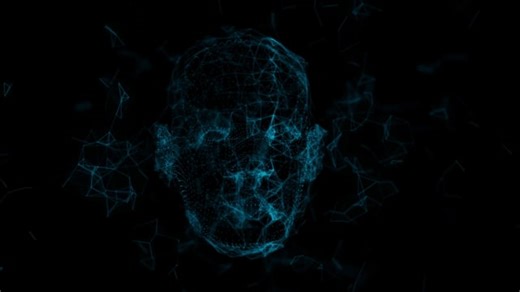 Cat, Kitten, Kitty, Pet, Cute