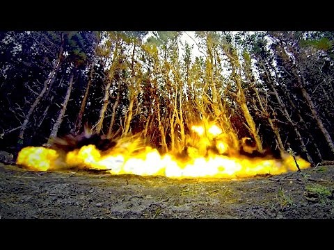Explosive Tree Felling