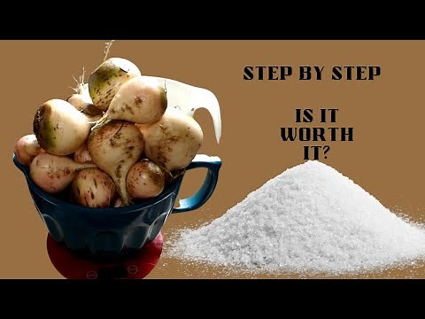 Making Home Made Sugar From Beets/ Is It Worth It?
