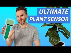 Ultimate Smart Home Plant Sensor: Apollo Automation PLT-1