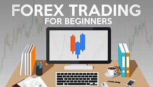 Forex Trading for Beginners (The Essential Guide)