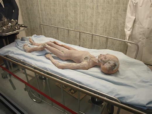 DNA Analysis of Peru ‘Alien’ Mummies Raises New Questions Over Origins - GreekReporter.com