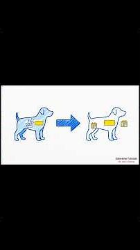 Revision - Lecture 36 - Python Classes and Objects | OOP in Python for Beginners to Advanced