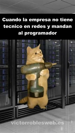 Cuando la empresa no tiene técnico de redes y mandan al programador #programacion #informatica