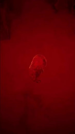 alien pregnancy scene from the X-Files #horrormovie