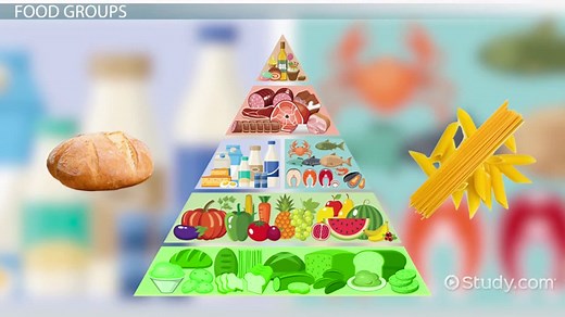 Nutrition Lesson for Kids: Definition & Facts