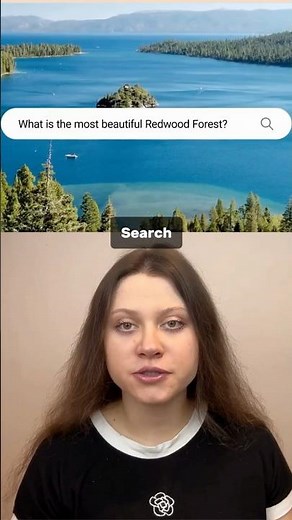 Bing Copilot Search Explained: AI Answers with Sources, Image Search, Free Rewards