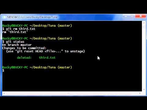 Git Tutorial - 10 - How to Delete Files