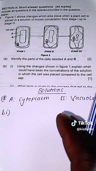 Biology #foryoupage #zedtiktok🇿🇲🇿🇲 #fyp #GCE