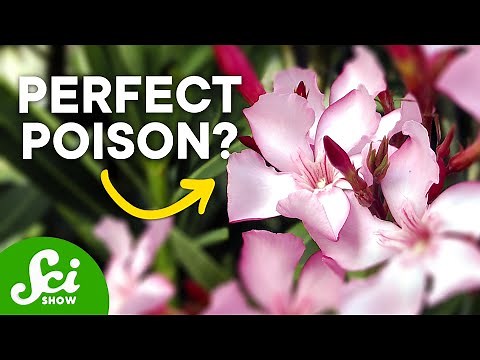 6 Deadly 'Undetectable' Poisons (and How to Detect Them!)
