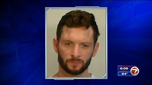 Maryland man sentenced after being caught on camera tackling pelican in Key West - WSVN 7News | Miami News, Weather, Sports | Fort Lauderdale