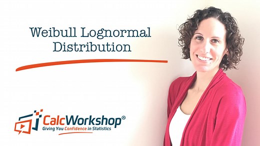 Weibull Lognormal Distribution