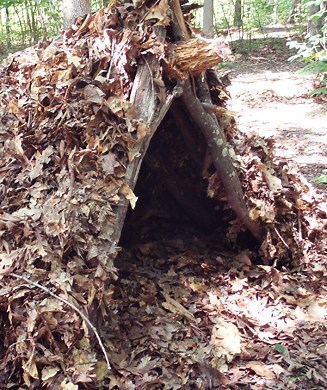 Survival Shelters: 15 Best Designs and How to Build Them