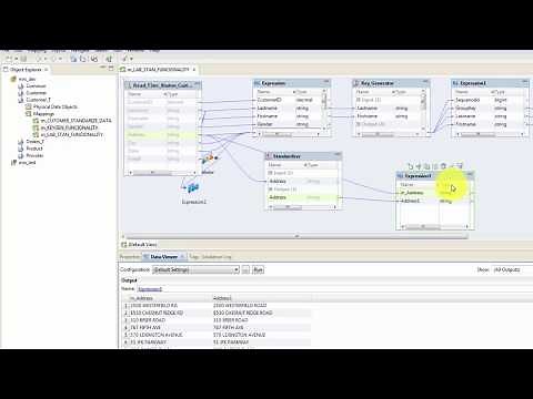 Beginners Informatica DEI/BDM Data Quality IDQ - Labeler, Standardizer transformation tutorial 6