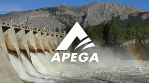 Competencies & Indicators