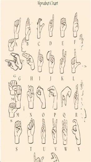 Learn ASL Alphabet A-Z in 30 Seconds 🤟 #Shorts