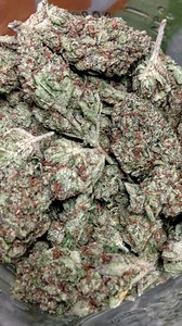 White Fire Alien OG | Marijuana Strain Reviews