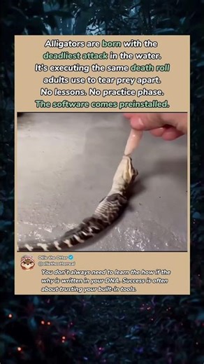 Death Roll Comes Preinstalled