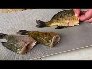 Cooking Your Catch: Whole Bream