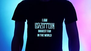 Perfect Fan T-shirt For Concert