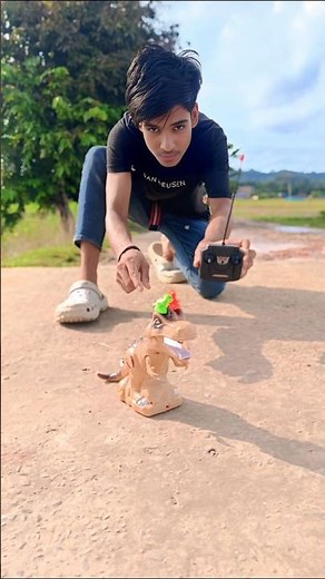 RC Remote Control dragon Unboxing Testing