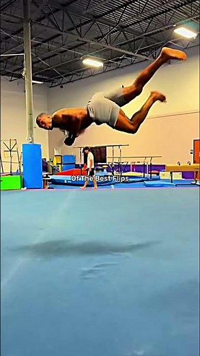 The Best Flips In The World!