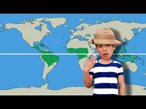 Klimaatzones van de wereld