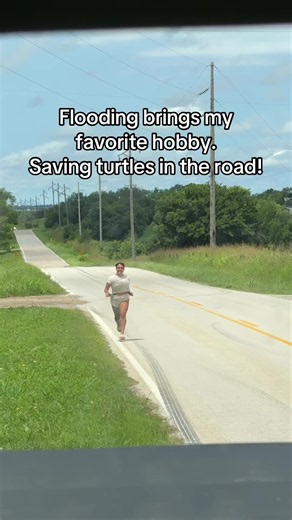 In need of a mechanic (@gemmidwest)’s video of Turtles