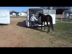 Trailer Loading - Fail!