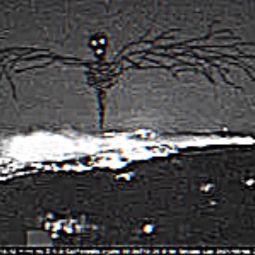 Trevor Henderson's Eerie Humanoid Creation