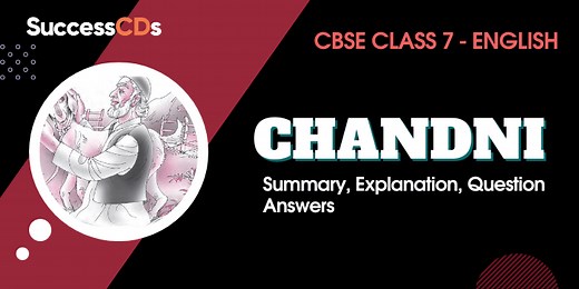 Chandni Summary, Explanation, Word Meanings Class 7