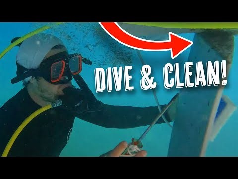 Dive into Cleaning! BOAT BOTTOM MAINTENANCE 🌊🧽 #BoatLife